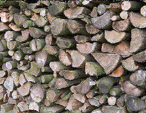 Brennholz für die Grünkerndarre